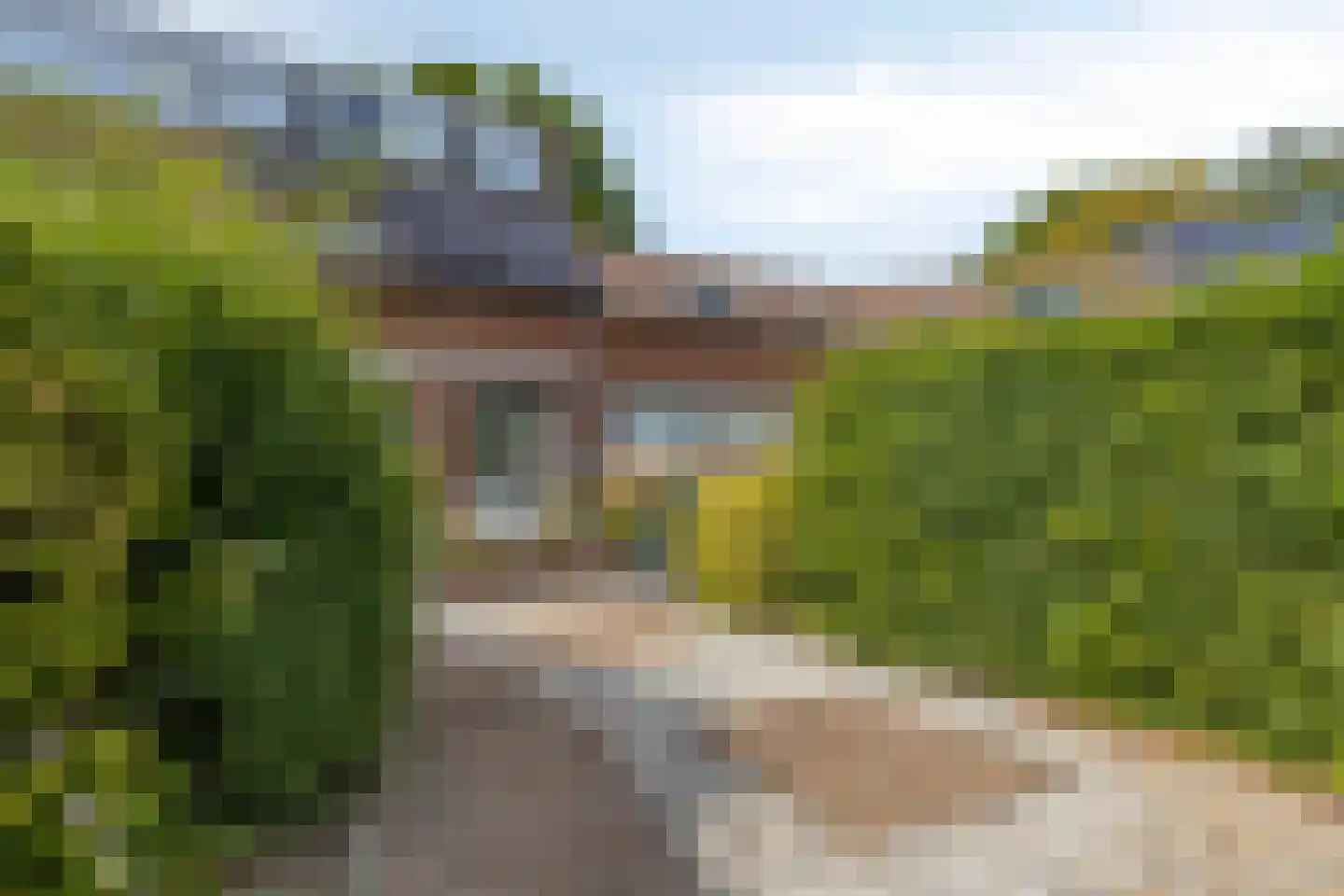 Aronskelk 25 Venray thumbnail 29