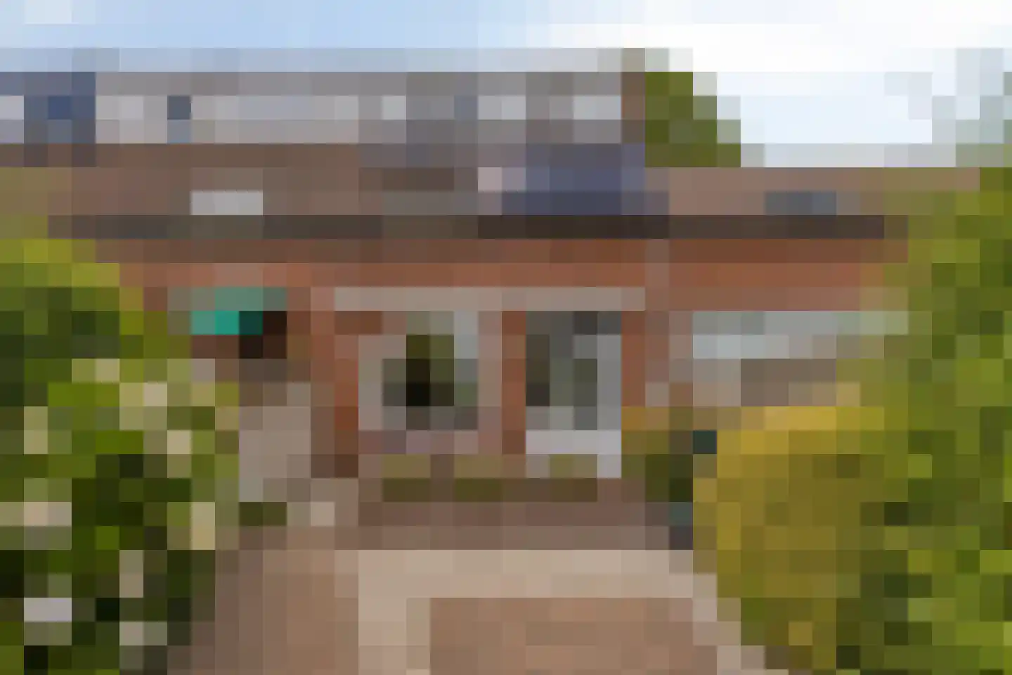 Aronskelk 25 Venray thumbnail 30
