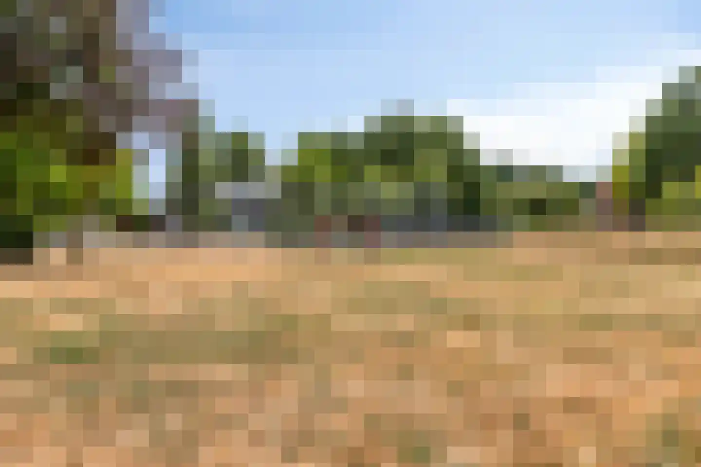 Aronskelk 25 Venray thumbnail 32