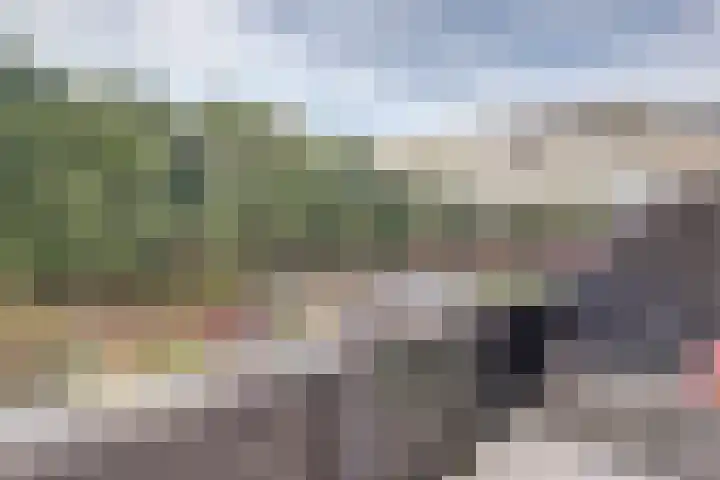 Aronskelk 35 Venray thumbnail 18