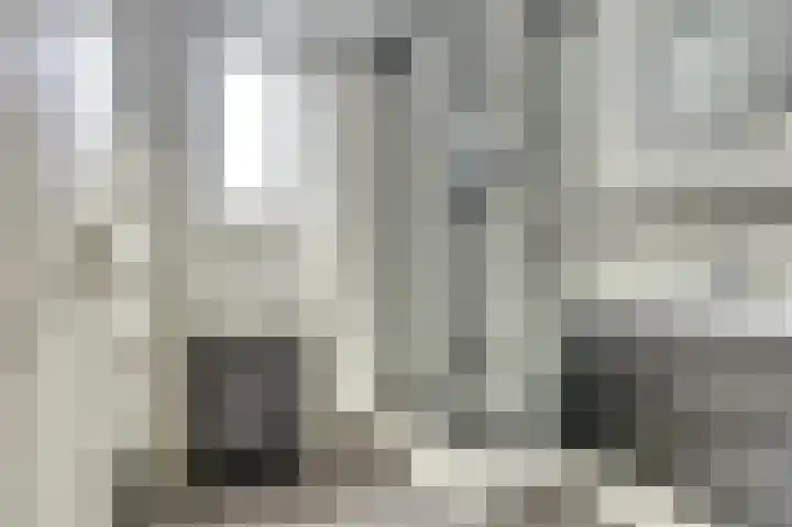 Aronskelk 35 Venray thumbnail 25