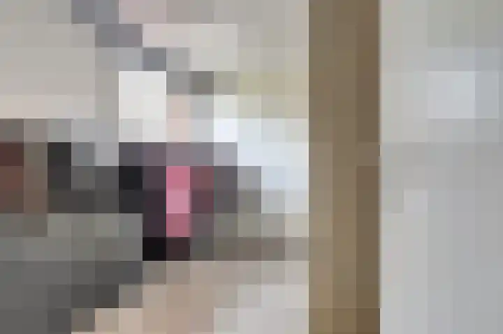 Aronskelk 35 Venray thumbnail 31