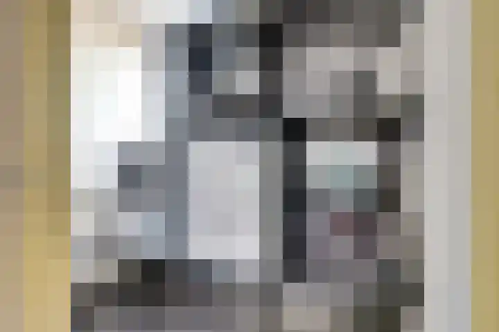 Aronskelk 35 Venray thumbnail 33
