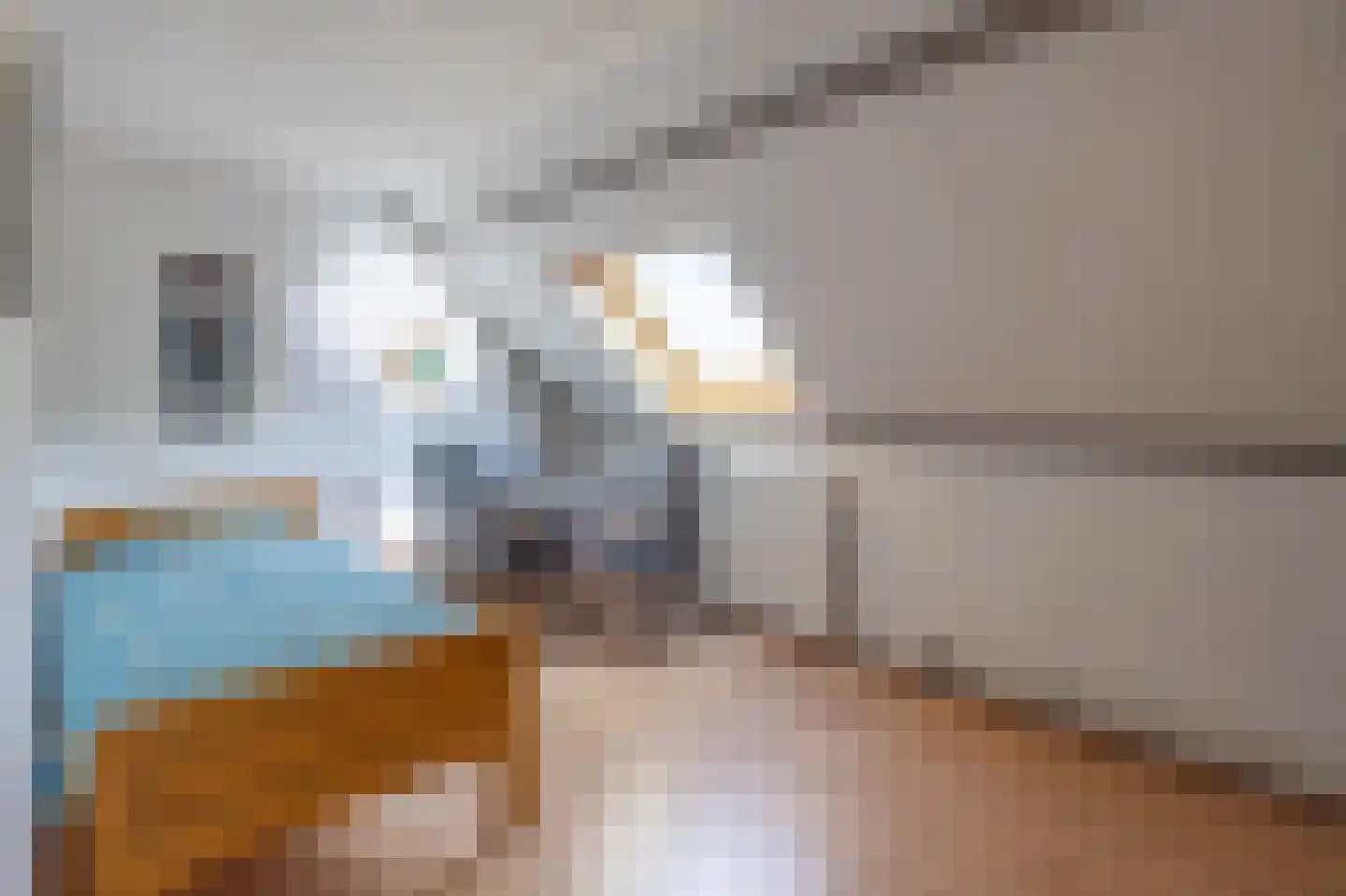 Aronskelk 37 Venray thumbnail 24