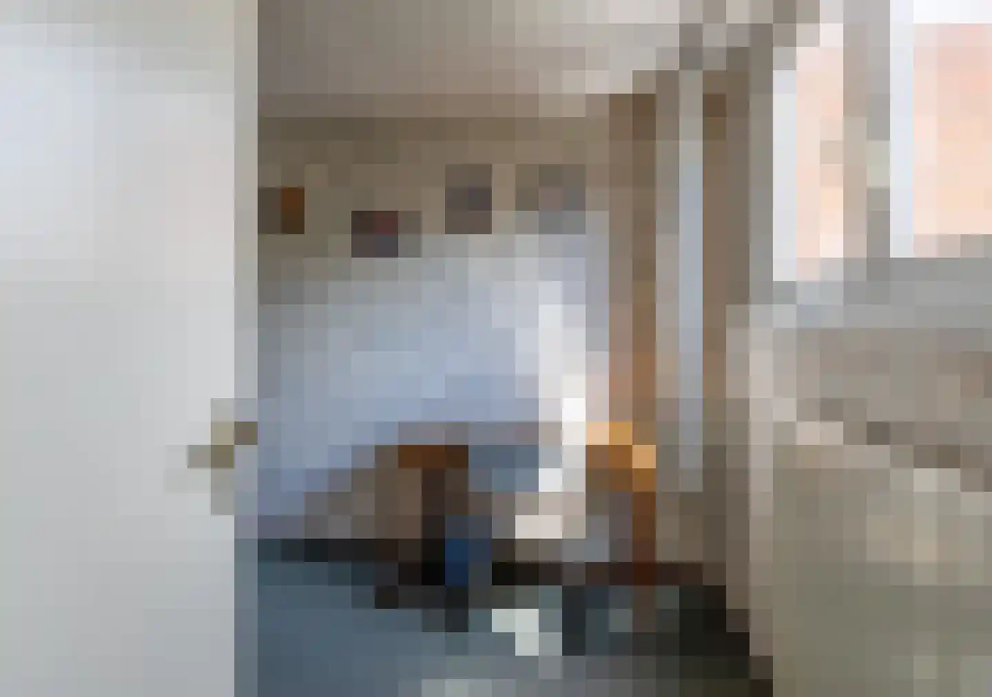 Aronskelk 37 Venray thumbnail 30