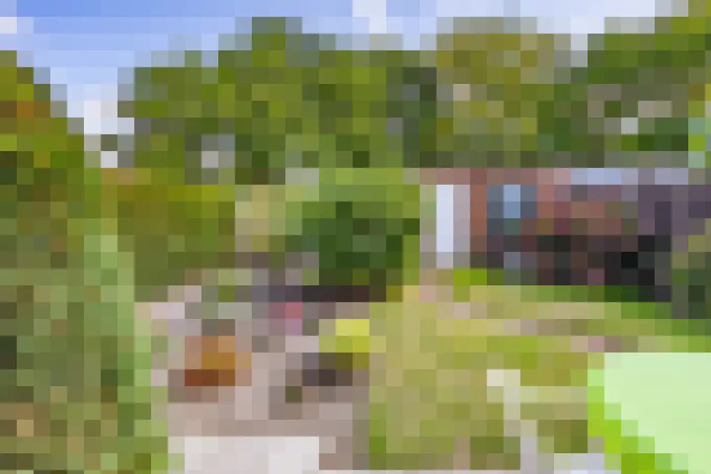 Aronskelk 37 Venray thumbnail 32
