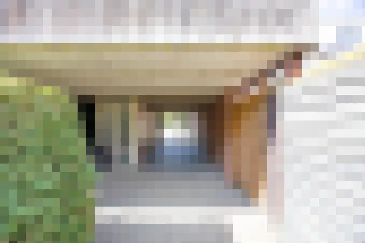 Aronskelk 37 Venray thumbnail 36