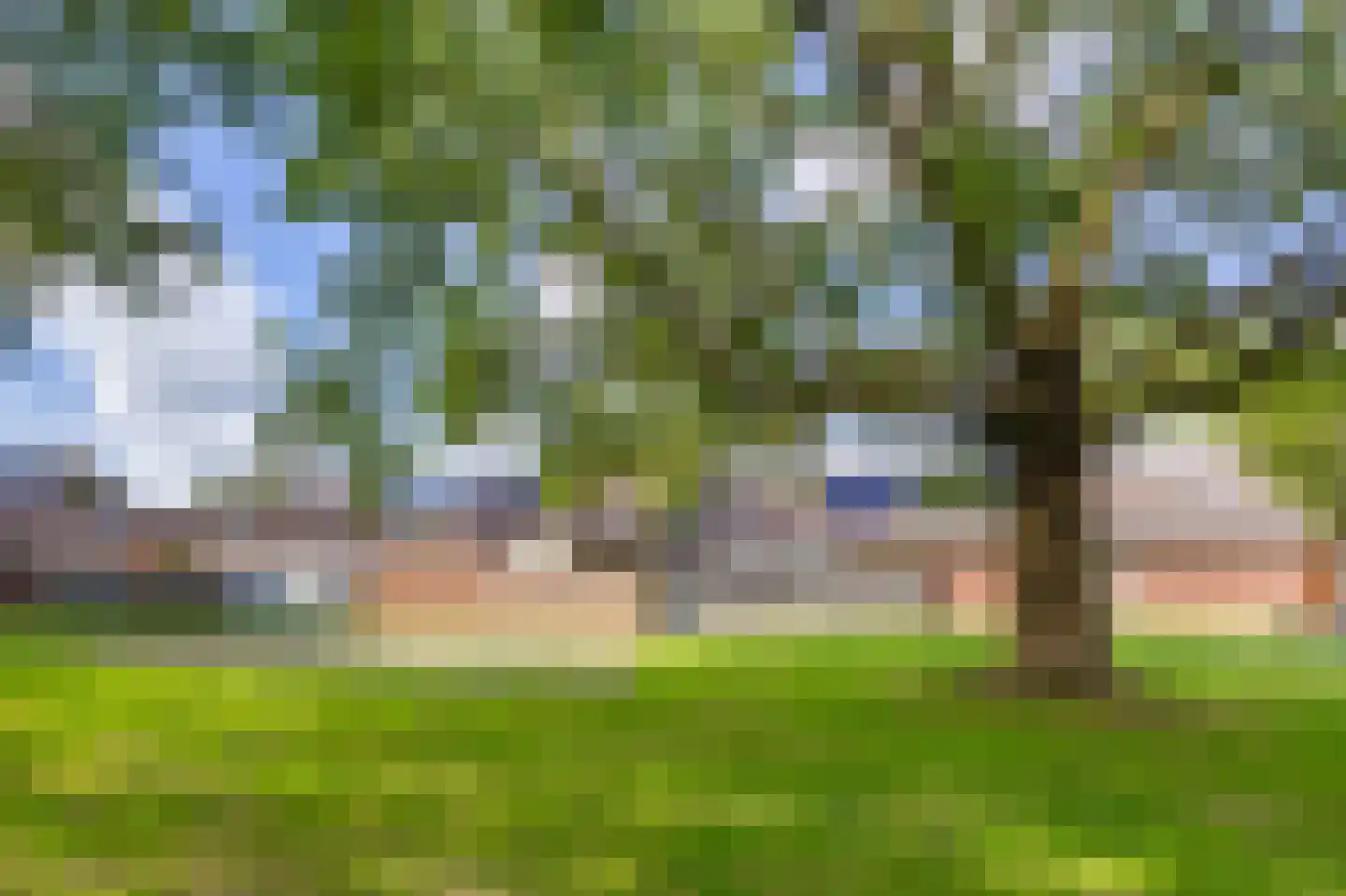 Aronskelk 37 Venray thumbnail 38