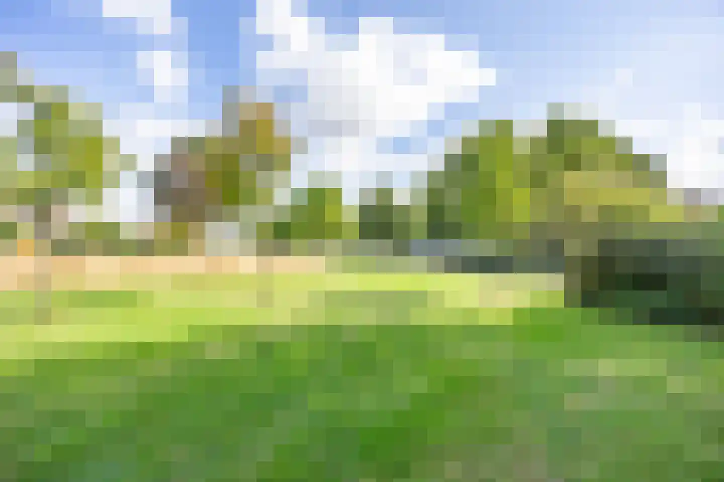 Aronskelk 37 Venray thumbnail 39