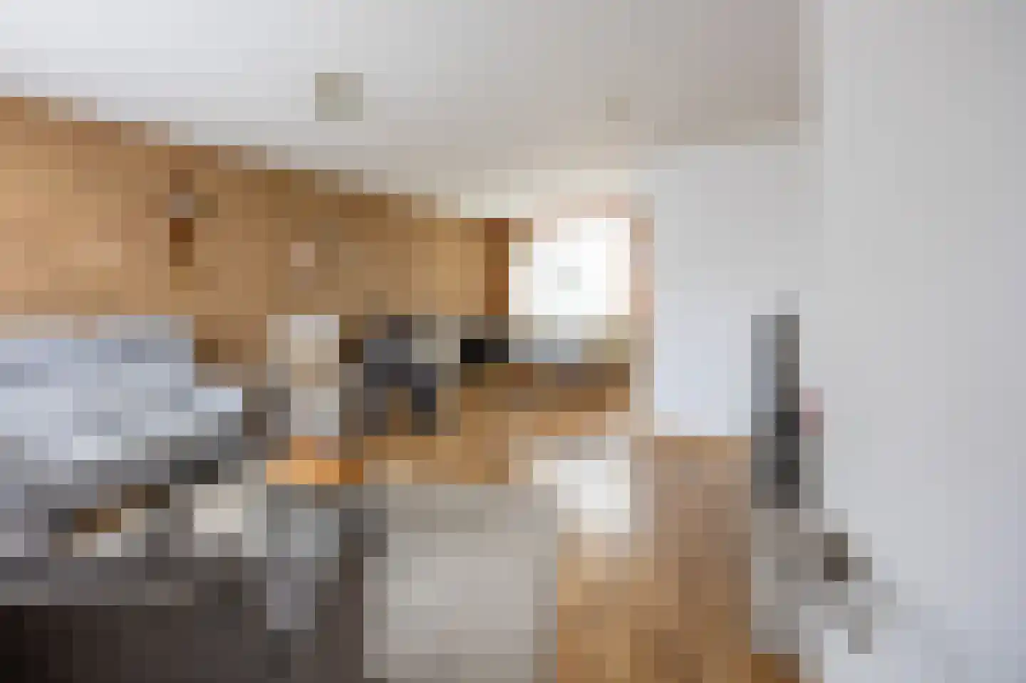 Aronskelk 37 Venray thumbnail 4