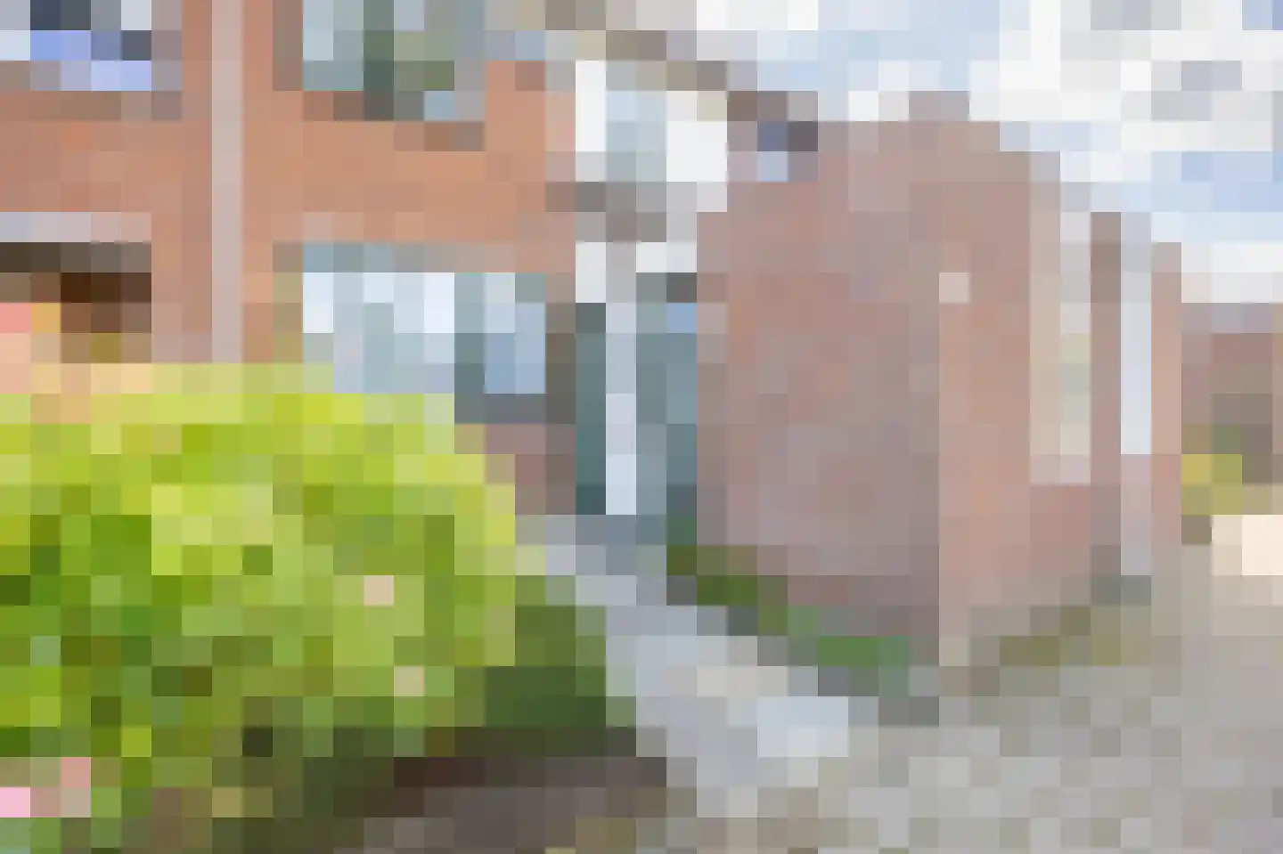 Aronskelk 37 Venray thumbnail 7