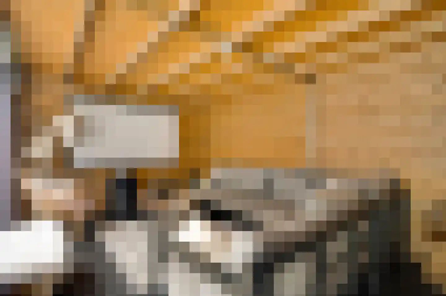 Aronskelk 45 Elsloo thumbnail 15
