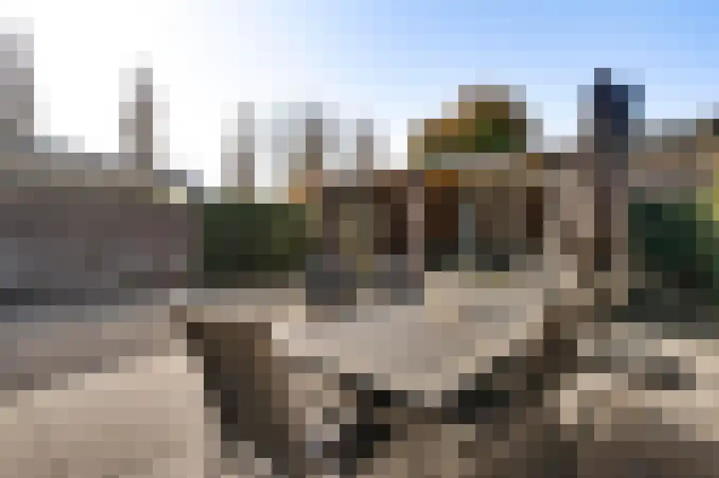 Aronskelk 45 Elsloo thumbnail 16