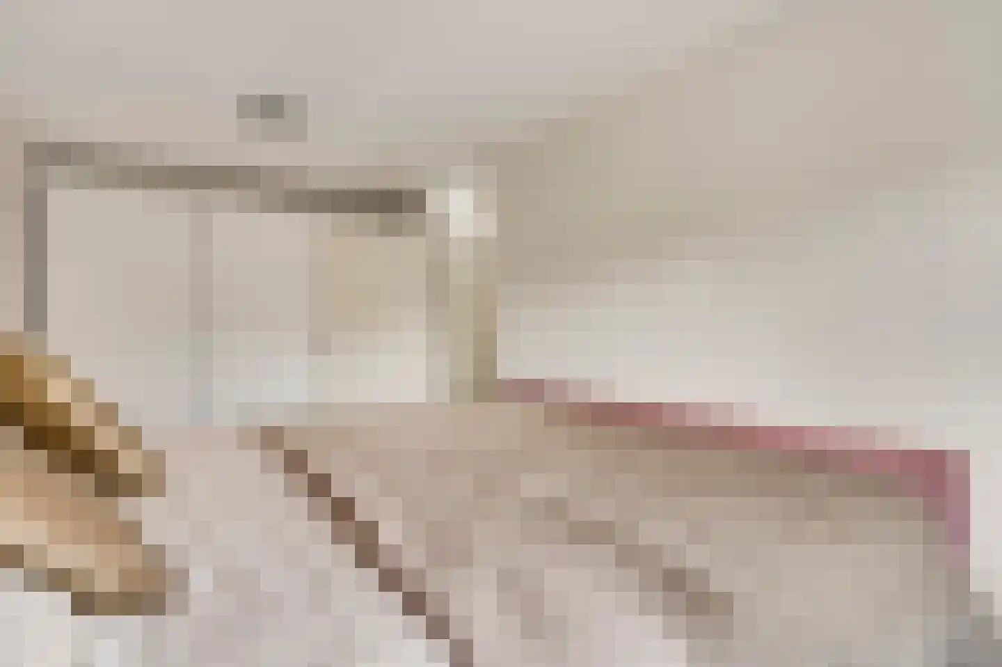 Aronskelk 45 Elsloo thumbnail 28