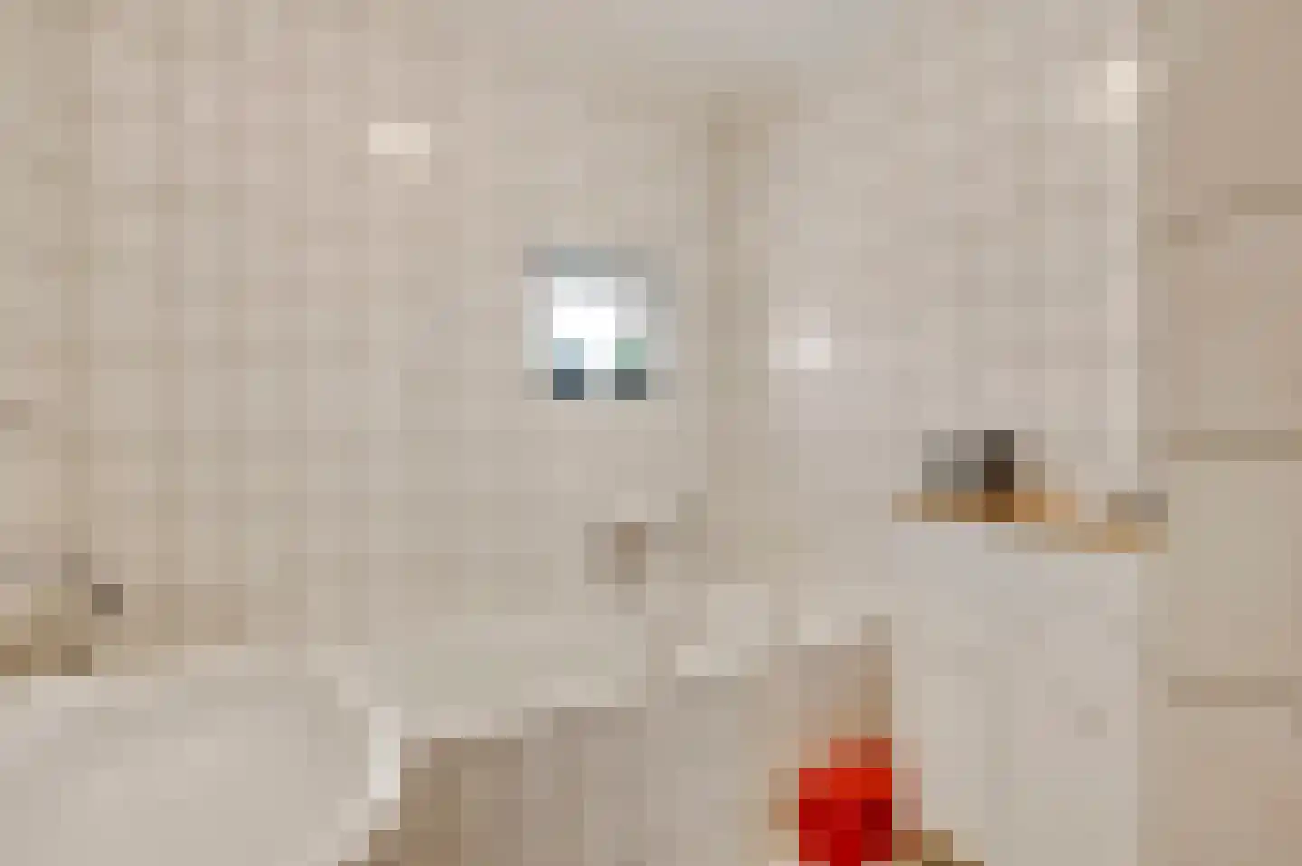 Aronskelk 45 Elsloo thumbnail 29