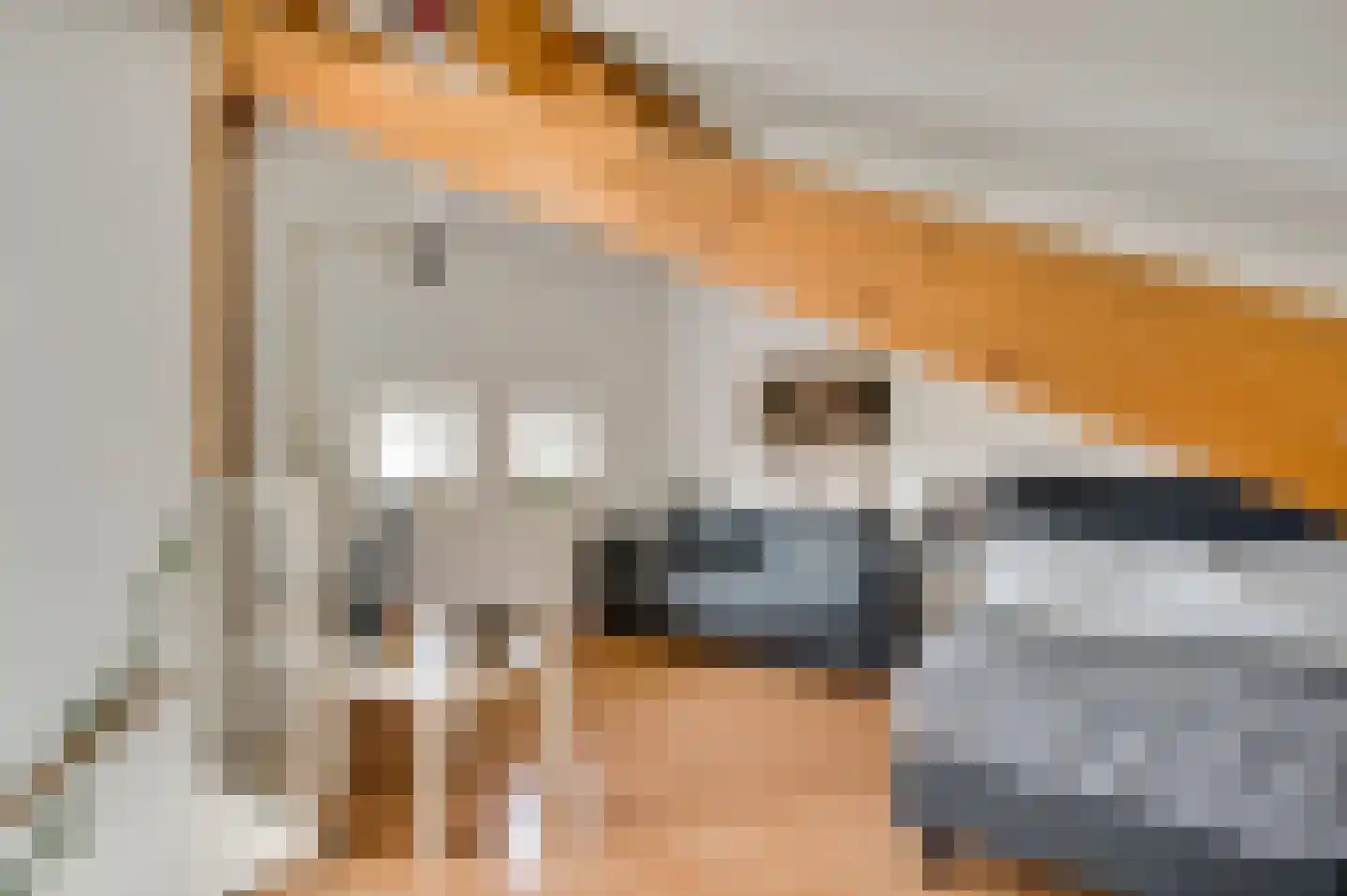 Aronskelk 45 Elsloo thumbnail 32
