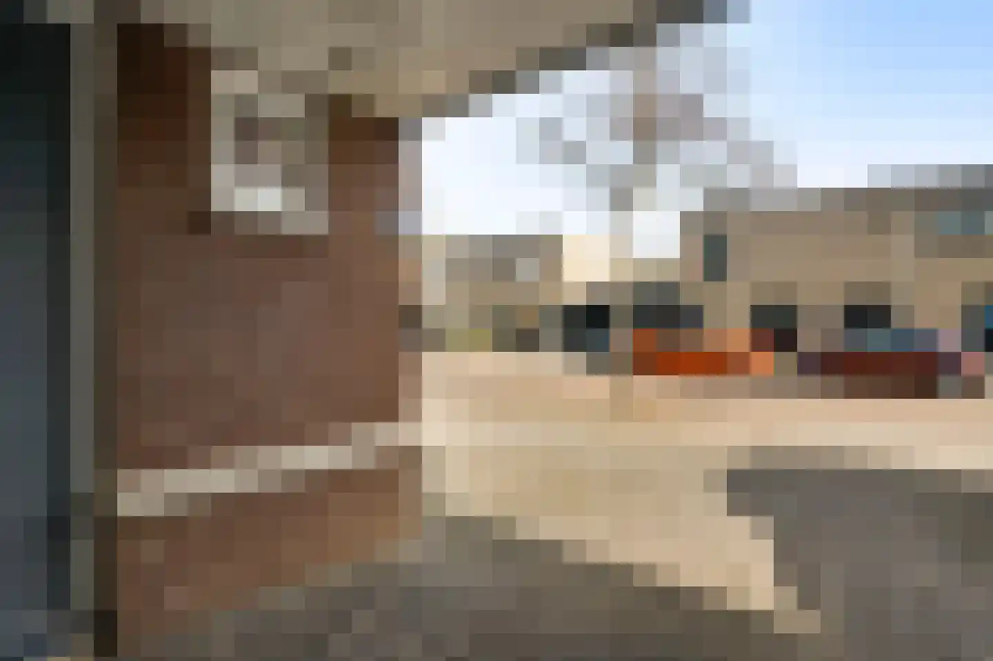 Aronskelk 45 Elsloo thumbnail 37