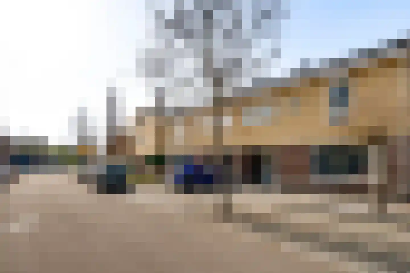 Aronskelk 45 Elsloo thumbnail 38