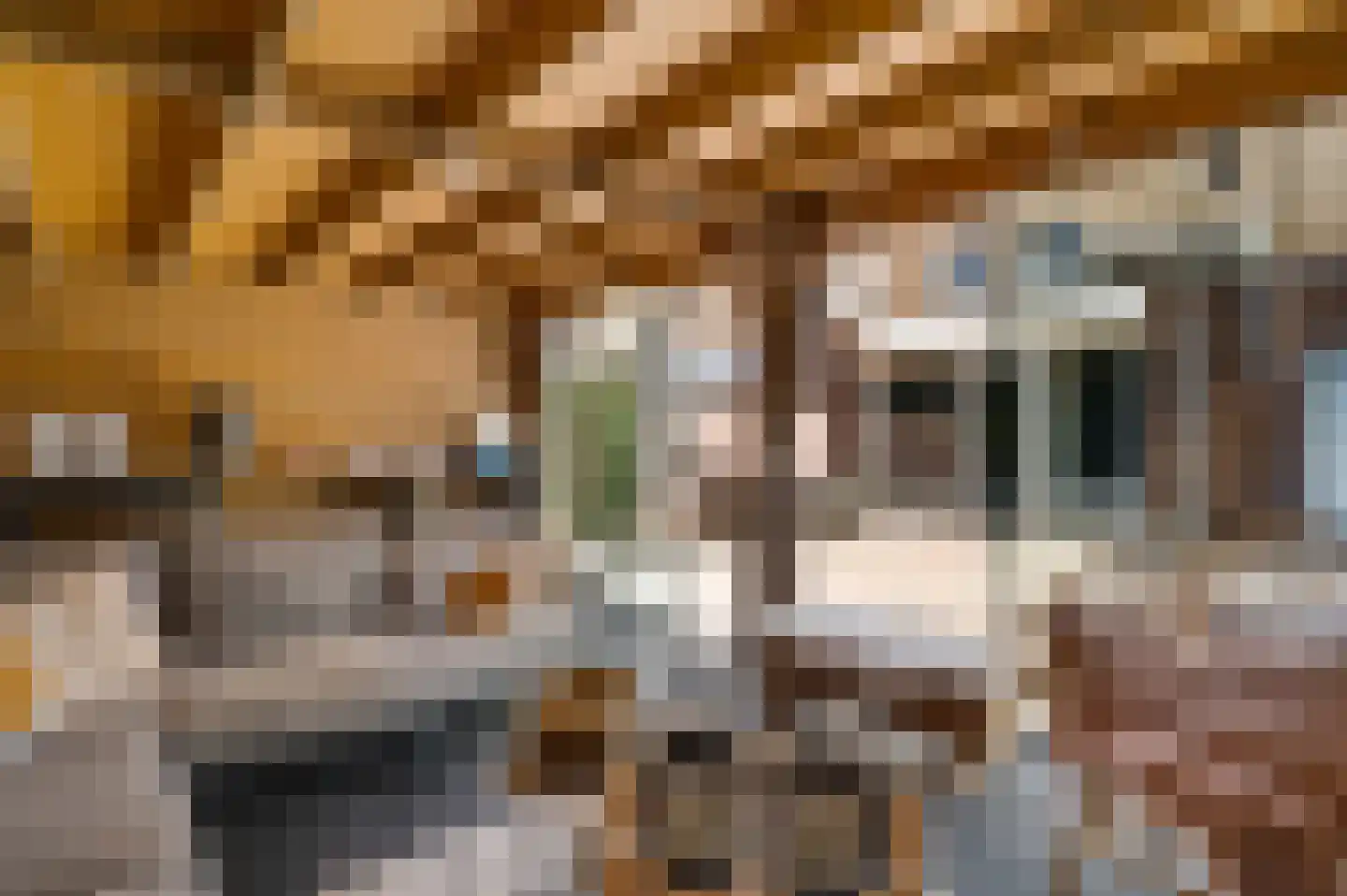 Aronskelk 45 Elsloo thumbnail 4