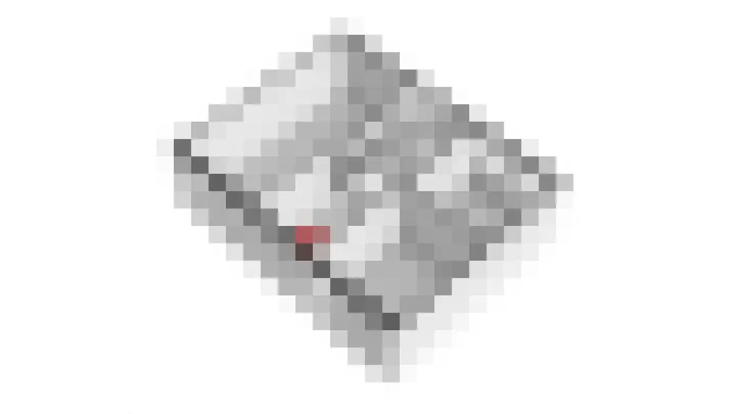 Aronskelk 45 Elsloo thumbnail 46