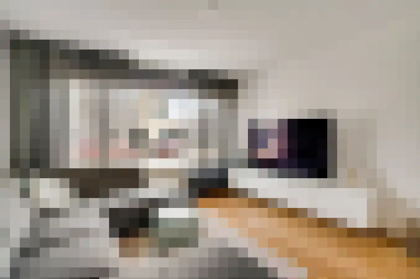 Aronskelk 45 Elsloo thumbnail 9
