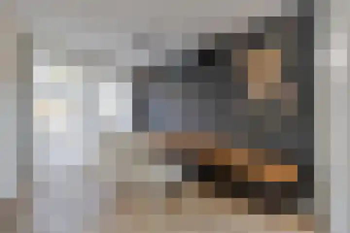 Aronskelk 50 Elsloo thumbnail 15