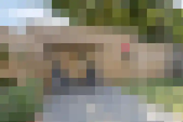 Aronskelk 50 Elsloo thumbnail 21