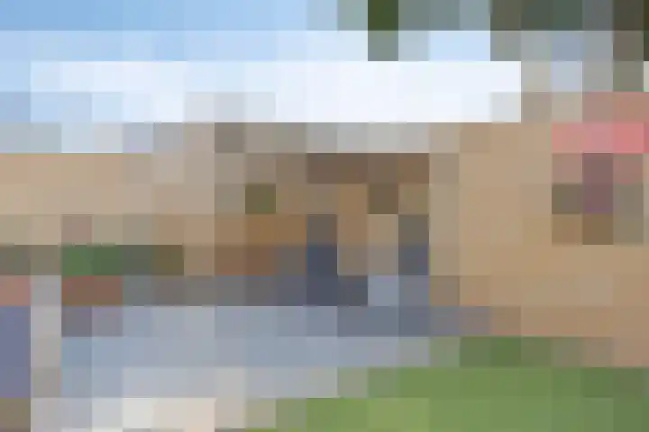 Aronskelk 50 Elsloo thumbnail 22