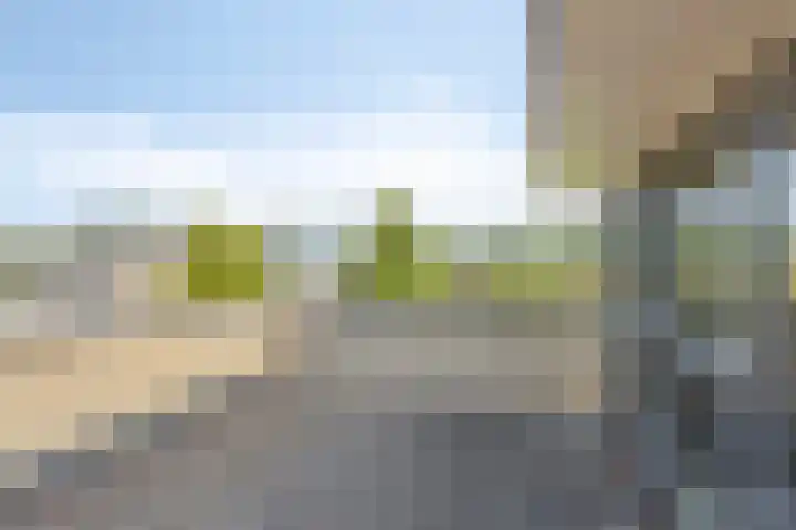 Aronskelk 50 Elsloo thumbnail 31