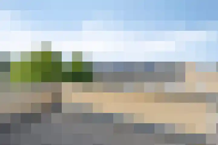 Aronskelk 50 Elsloo thumbnail 32