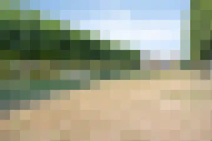 Aronskelk 50 Elsloo thumbnail 36