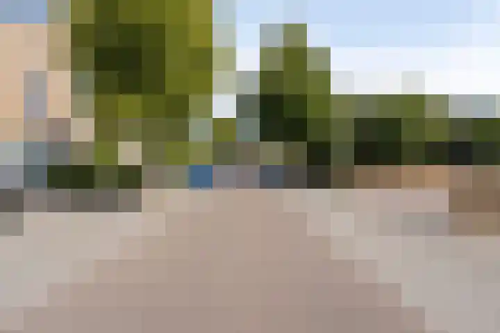Aronskelk 50 Elsloo thumbnail 37