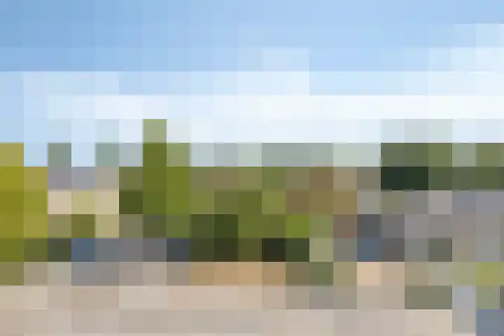 Aronskelk 50 Elsloo thumbnail 39