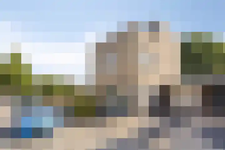 Aronskelk 50 Elsloo thumbnail 43