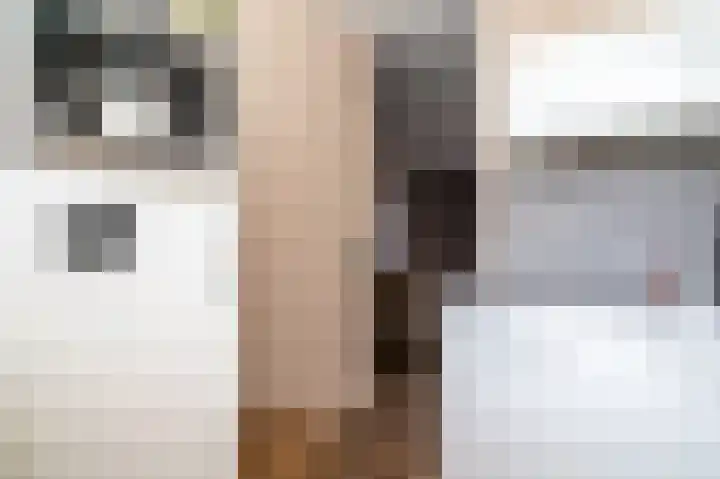 Aronskelk 51 Cuijk thumbnail 11