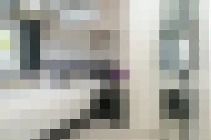 Aronskelk 51 Cuijk thumbnail 17
