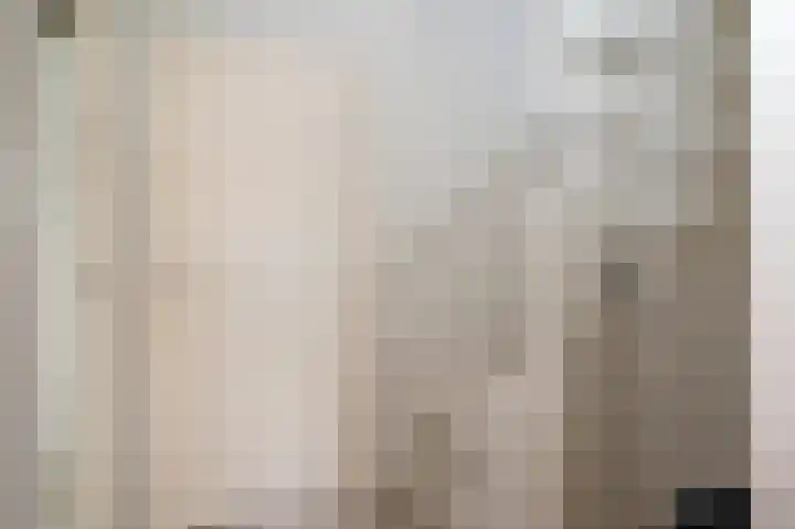 Aronskelk 51 Cuijk thumbnail 20
