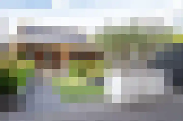 Aronskelk 51 Cuijk thumbnail 34