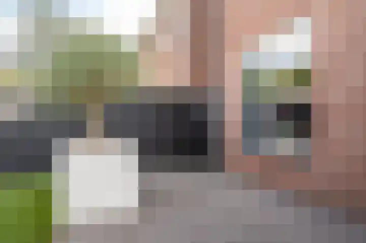 Aronskelk 51 Cuijk thumbnail 36