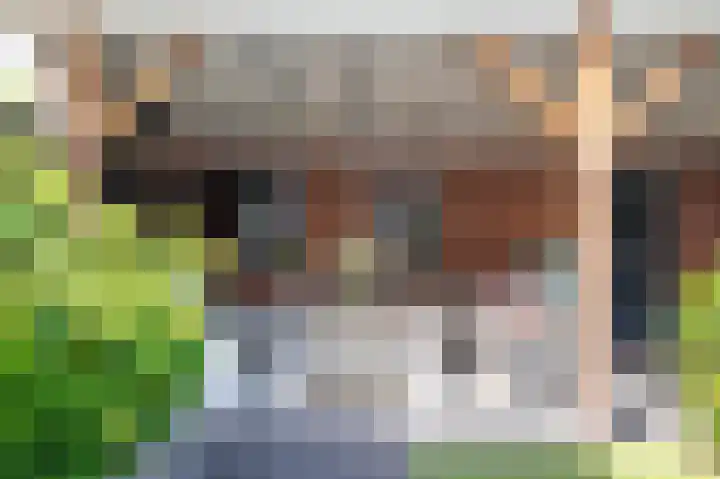 Aronskelk 51 Cuijk thumbnail 38
