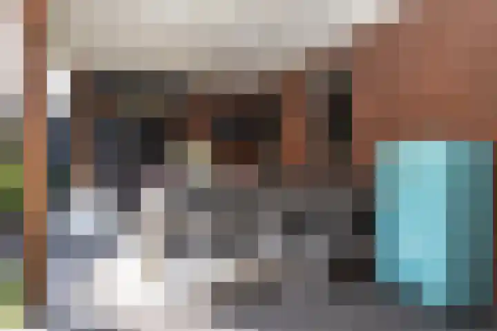 Aronskelk 51 Cuijk thumbnail 41