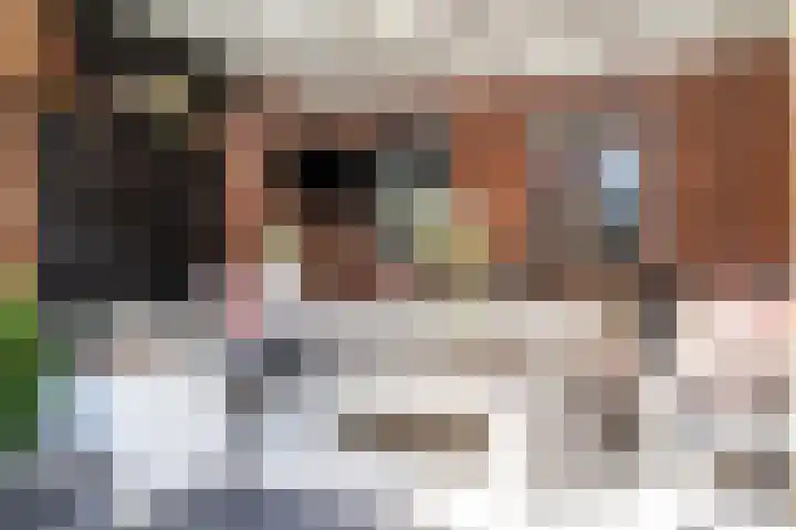 Aronskelk 51 Cuijk thumbnail 42