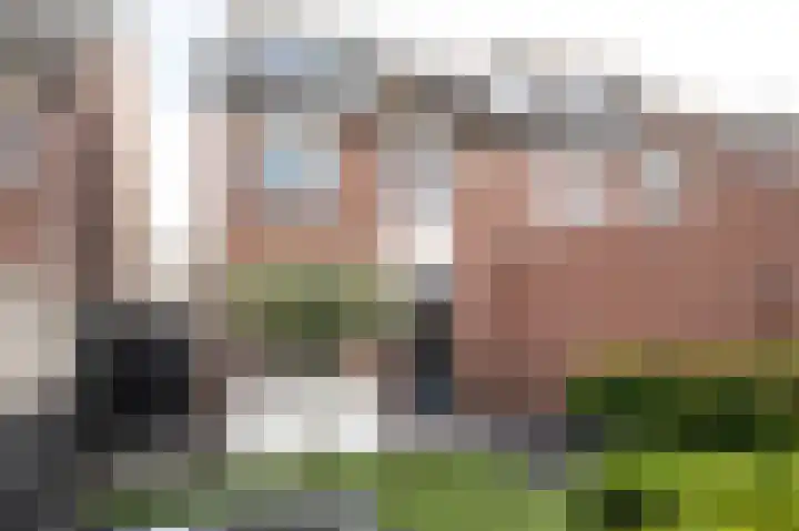 Aronskelk 51 Cuijk thumbnail 43