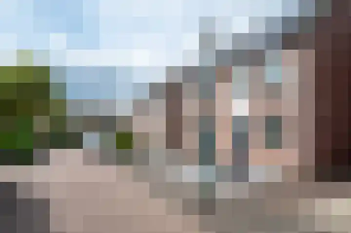 Aronskelk 51 Cuijk thumbnail 48
