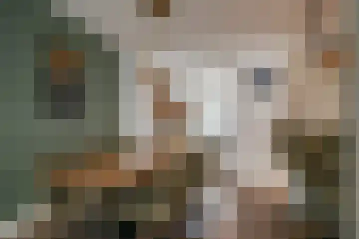 Aronskelk 6 Luttelgeest thumbnail 10