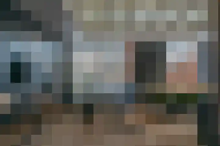 Aronskelk 6 Luttelgeest thumbnail 19