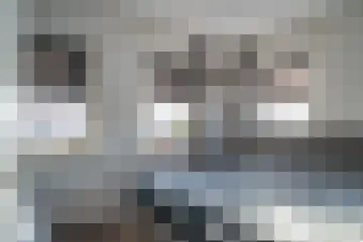 Aronskelk 6 Luttelgeest thumbnail 22