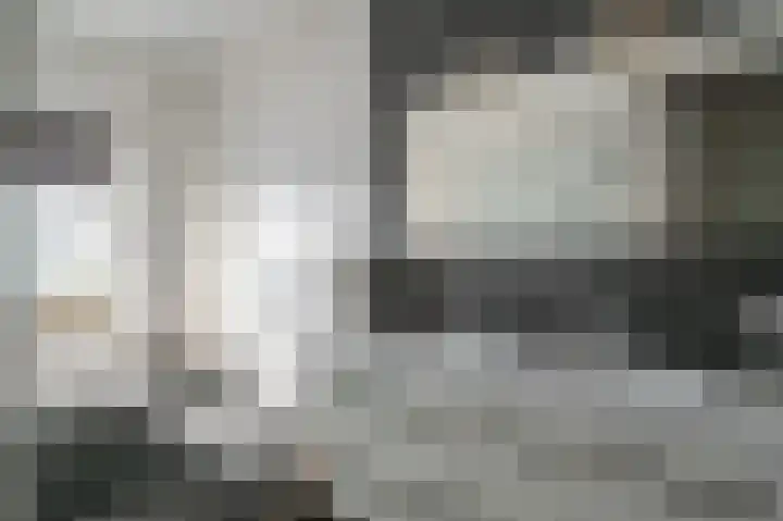 Aronskelk 6 Luttelgeest thumbnail 24