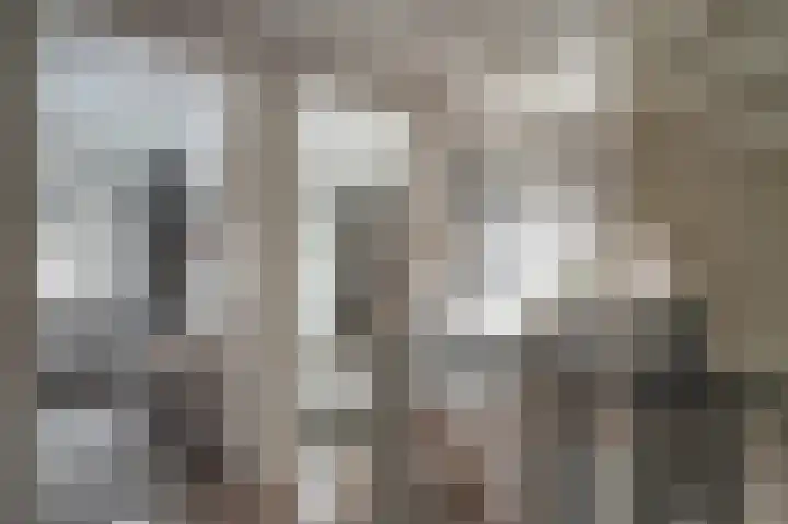 Aronskelk 6 Luttelgeest thumbnail 26