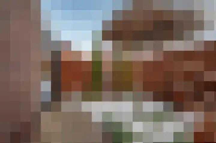 Aronskelk 6 Luttelgeest thumbnail 37